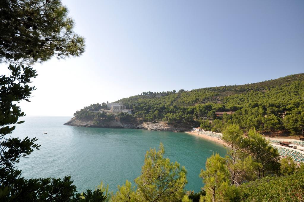 Pugnochiuso Del Faro